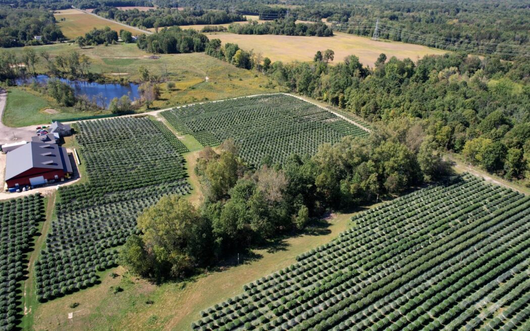 Sapphire Farms