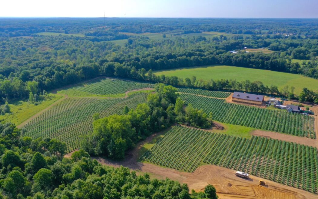 Sapphire Farms